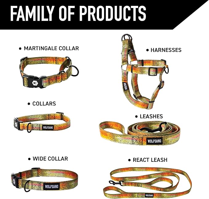 Wolfgang Heavy Duty Martingale Dog Collar with Quick Release Nylon Buckle for Walking & Training, CutBow Print, Extra Large