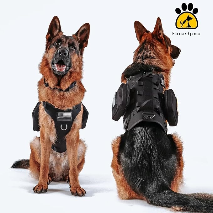 Forestpaw Tactical Dog Harness for Large Dogs,Tactical Dog Collar with Bungee Leash Set,No Pull Military Dog Harness for Walking Training,Adjustable for Medium Large Dogs,Black,Chest 15.5-25.5"