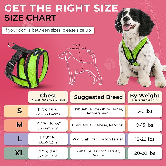 Gooby Comfort X Head in Harness - Green, Small - No Pull Dog Harness with Patented Choke-Free X Frame for Small to Medium Dogs Indoor/Outdoor Use