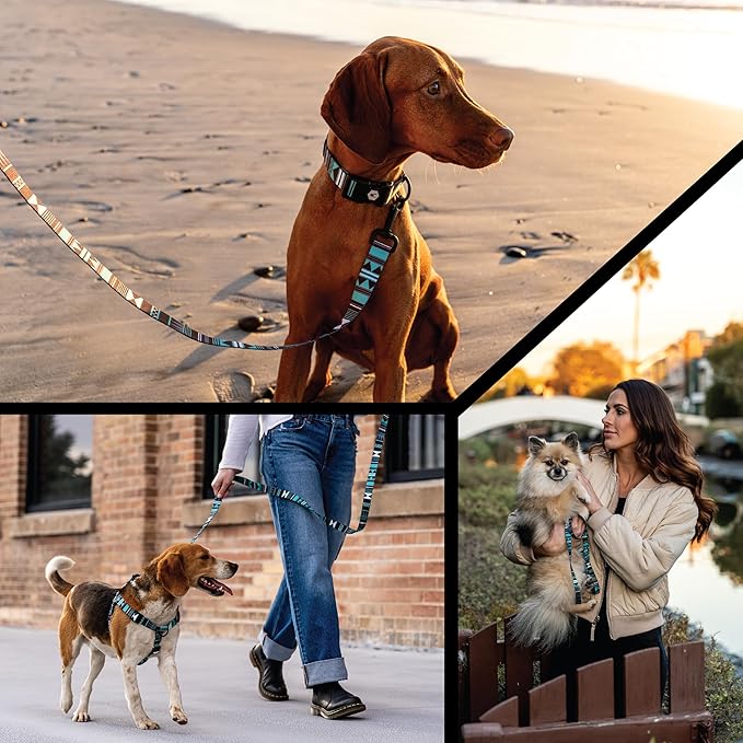 Wolfgang Heavy Duty, Adjustable Dog Collar with Quick Release Nylon Buckle for Walking & Training, WesternSky Print, Medium