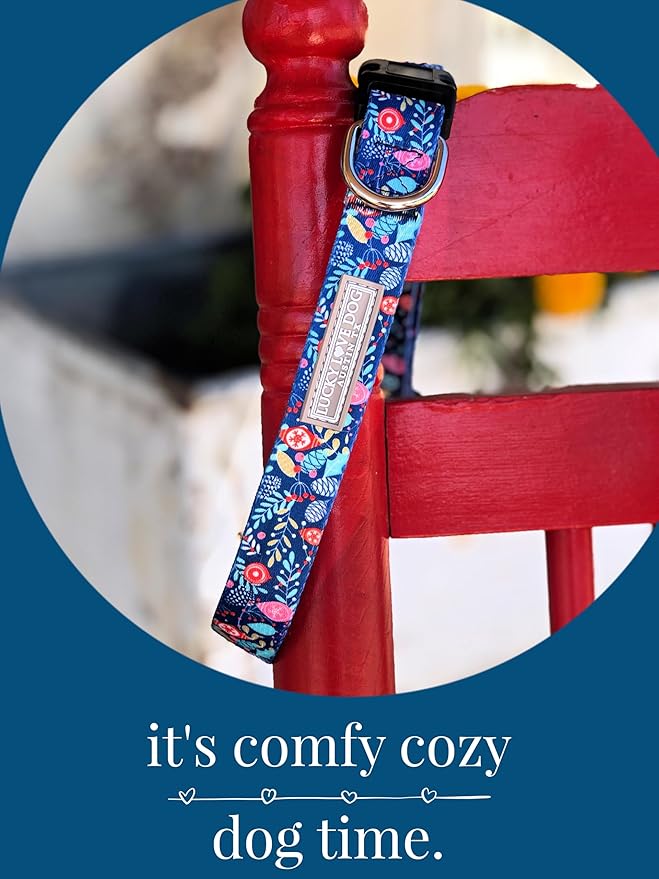 Lucky Love Dog - Adjustable Dog Collar with Easy Click Buckle for Small to Large Dogs, Durable, & Comfortable for Male & Female Dogs, Pet Collar for Puppies & Adult Ones - Sweet Holiday, XS