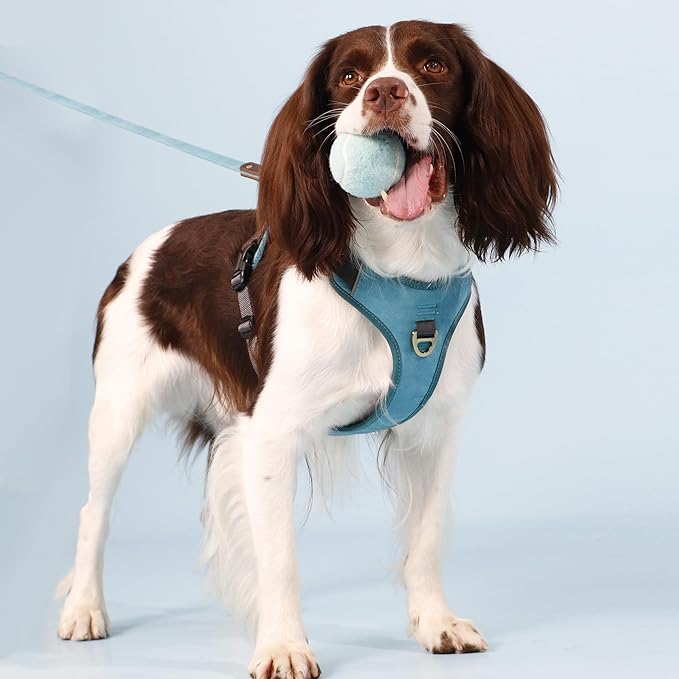 No Pull Dog Harness Medium Sized Dog,Stylish PU Leather Vest with Easy Control Handle,No Choke Front Clip with 2 Metal Leash Clips,Reflective & Adjustable for Walking,Light Blue,Chest 22-29"