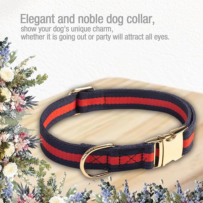 Elegant and Nobility Dog Collar, Comfortable and Durable Pet Collars,Luxury Dog Collars Packing Gift for Medium Dogs