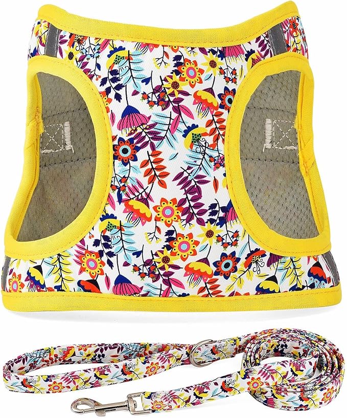 Moonpet Step in Dog Harness Leash Set- All Weather Reflective No-Pull Floral Pattern Padded Mesh Vest Harness for Cats Puppy Extra-Small Small Medium Large Dogs - White Flower - XXS