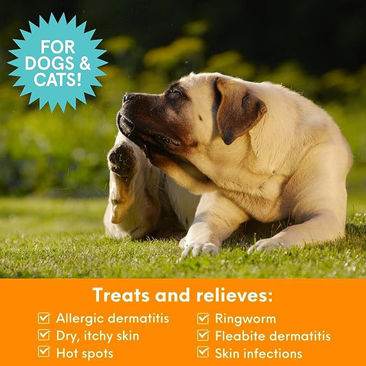 Nootie Medicated Pet Shampoo, Chlorhexidine Dog Shampoo for Itch Relief, Sold in Over 5,000 Vet Clinics & Pet Stores Worldwide- 8oz