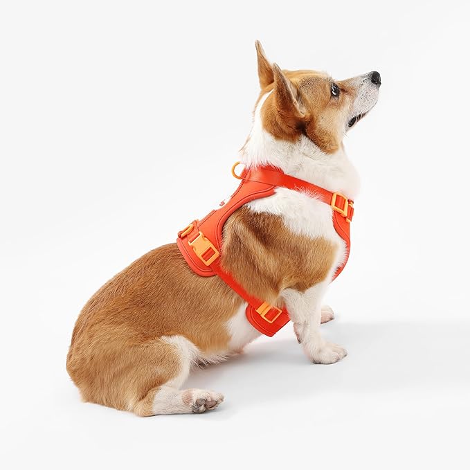 HNS1002A Arlo Medium Adjustable Soft Padded No Pull Pet Harness with 3 Buckles and 3 Leash Clips, Aperol