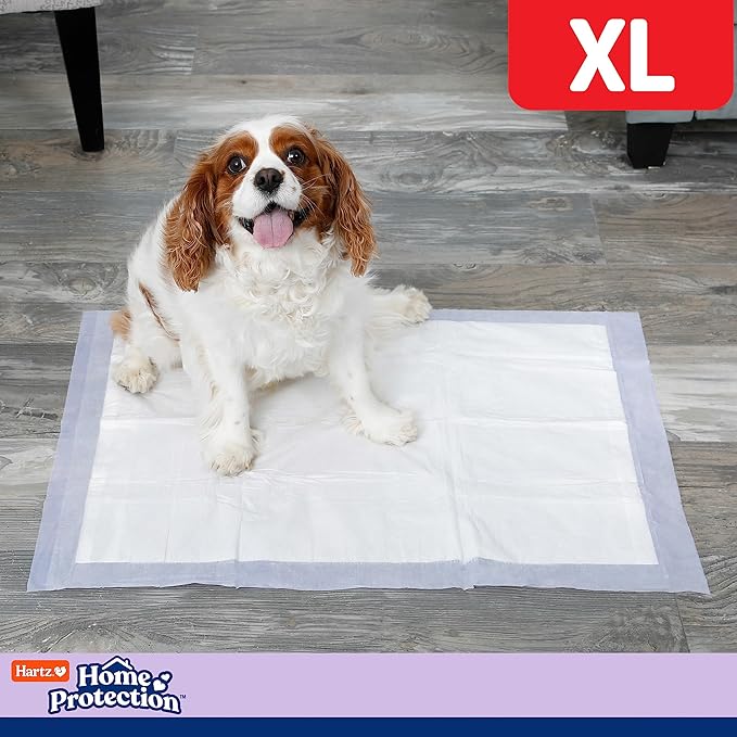 Hartz Home Protection Lavender Scented Dog Pads, XL 30 count, Super Absorbent & Won't Leak, Odor Eliminating