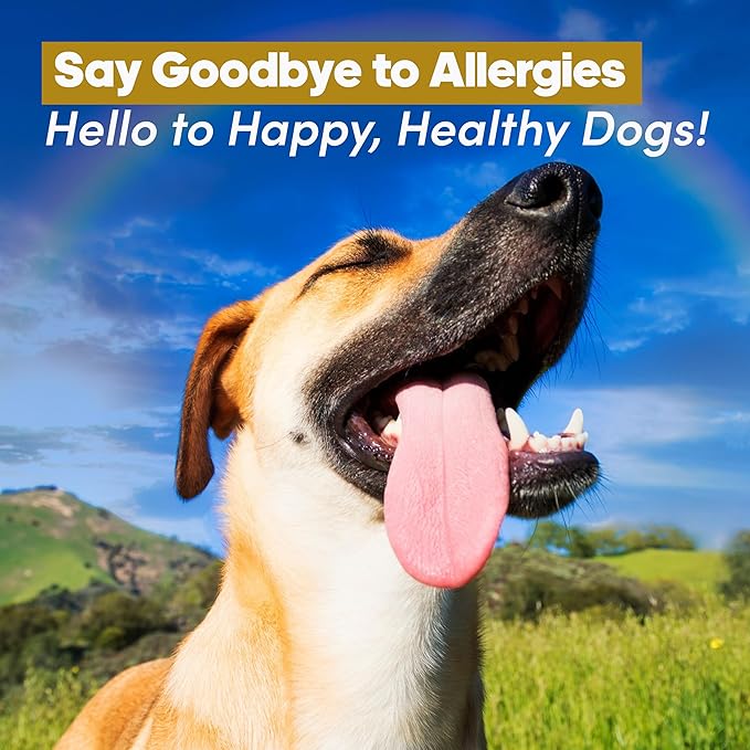 Giarcidia Allergy Relief & Immune Support Chews for Dogs – 90 Soft Chews, Chicken Flavor – Seasonal Itch, Skin, Paw Licking, Hot Spots – Dog Allergy Supplement