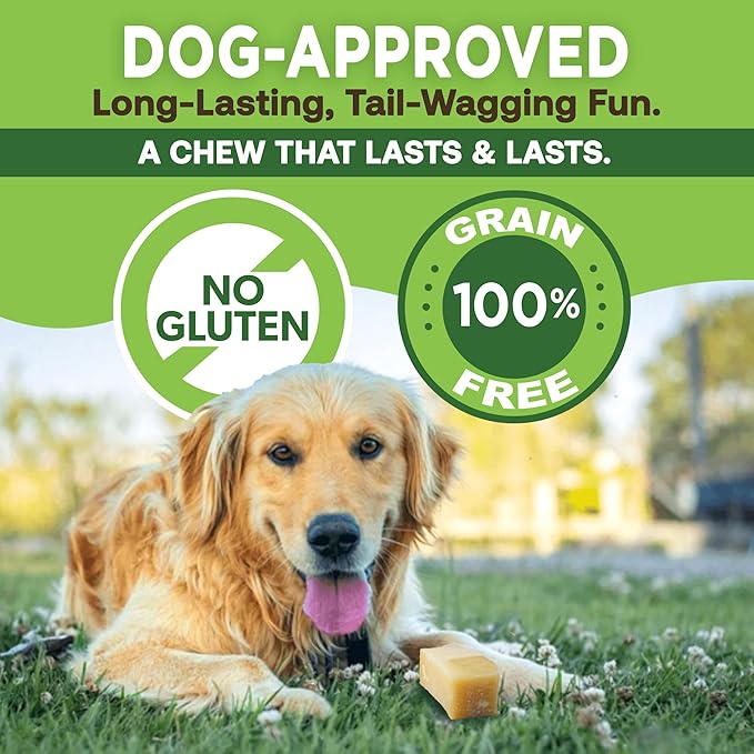 EcoKind Pet Treats Gold Himalayan Yak Cheese Dog Chew, Yak Dog Treats for Active Chewers, 100% Natural & Healthy Chew Sticks for Dogs, Small Yak Cheese Sticks (8 Chews)
