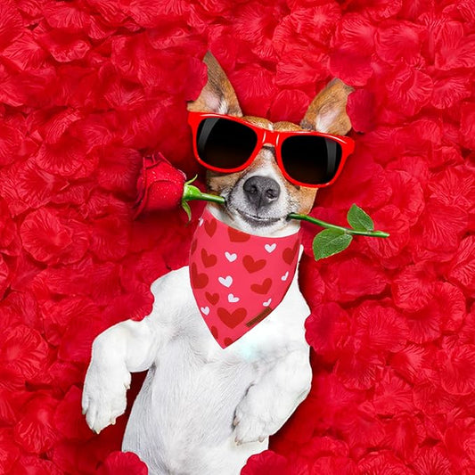 ADOGGYGO Valentine Dog Bandana, Heart and Love Pet Scarf, Premium Durable Fabric, Red Pink Valentine Bandanas for Medium Large Dogs (Large)