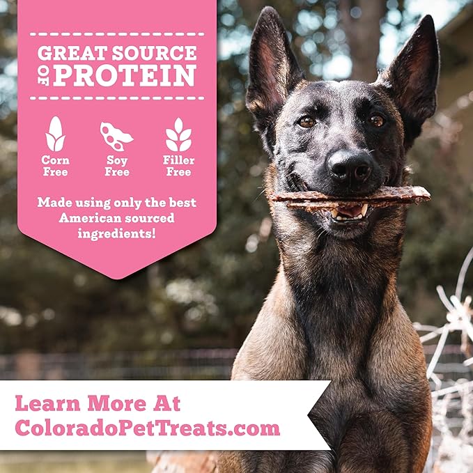 Fresh Field Pork & Apple Jerky Chips, 5 oz – All-Natural Dog Treats, USA Made, No Fillers, Supports Digestion & Nerves (Pack of 2)