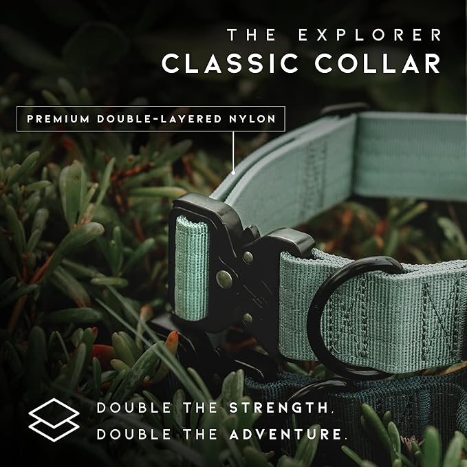 Made to ROAM Premium Dog Collar - Adjustable Heavy Duty Nylon Collar with Quick-Release Metal Buckle (Vermont Weekends, Classic Size 5)