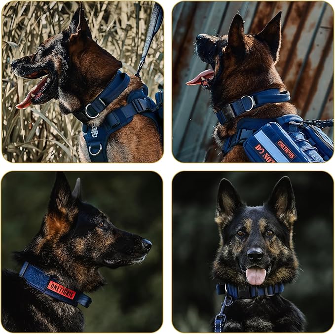 OneTigris Tough Dog Collars, Tactical Dog Collar with Handle, Milltary Adjustable Dog Collar with Heavy Duty Metal Buckle for Training (Large,Blue)