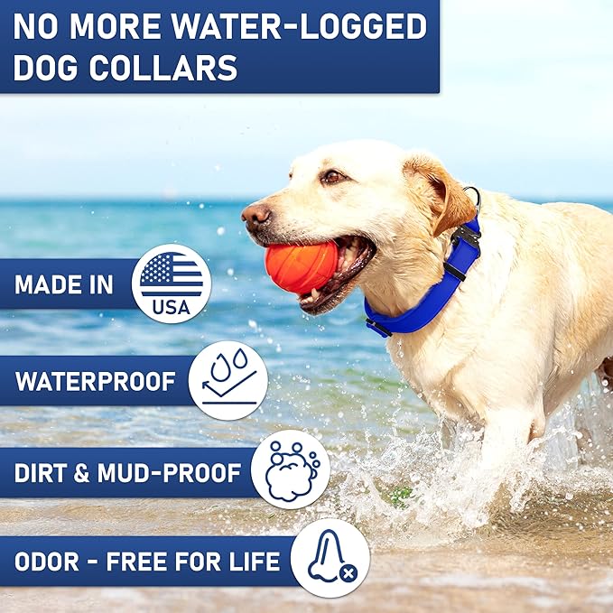 Biothane Dog Collar with Cobra Buckle - Made in USA - QR Code Dog Tag ID Included - Adjustable Heavy Duty Dog Collars for Medium Large Dogs - Waterproof Military Grade Tactical Collar for Dogs