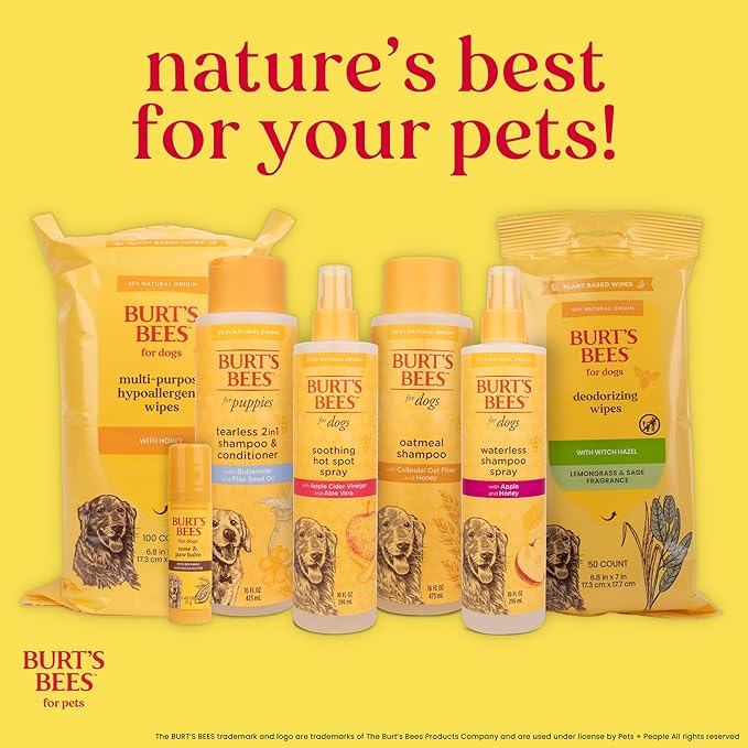 Burt's Bees for Pets Deodorizing Wipes with Witch Hazel, 95% Natural Origin Formulas, Odor Control Dog Wipes - Gentle Dog Deodorizing Wipes, Lemongrass and Sage Fragrance 50ct