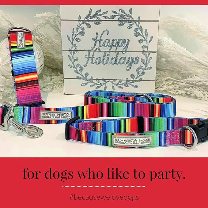 Lucky Love Dog - Adjustable Dog Collar and Leash Set with Easy Click Buckle for Small to Large Dogs, Durable, & Comfortable Collar for Male & Female Dogs, Puppies & Adult Ones - Nacho Combo, Small