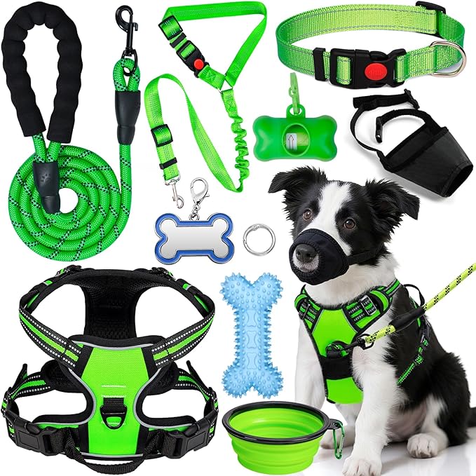 No Pull Dog Harness Adjustable Collar & Leash Set - Dog Halter Harnesses Collapsible Bowls & Poop Bag Dispenser Muzzle ID Tags Toys Fits Small Medium Large Dogs (Green-L)