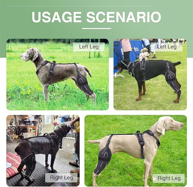 Dog Knee Brace for ACL/CCL Injuries,Torn Ligament,Luxating Patella - Rear Leg Support,Pain Relief,Joint Warmth,Right Legs,Black,Size:M