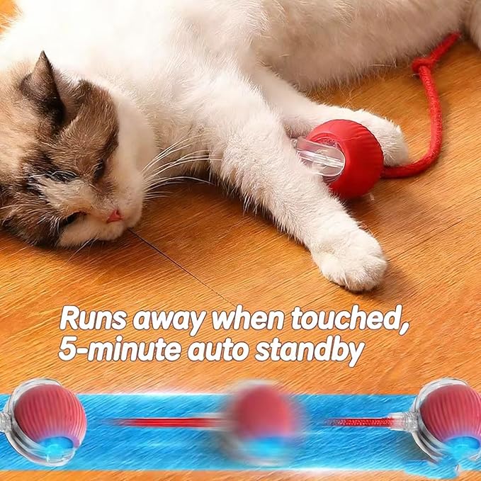 Zarutor Interactive Rolling Ball, 360° Smart Automatic Rolling Electric Dog Ball, Chase Mate Cat Toy, Durable and Safe, Fast Rolling Toy for Dogs and Cats (Green)