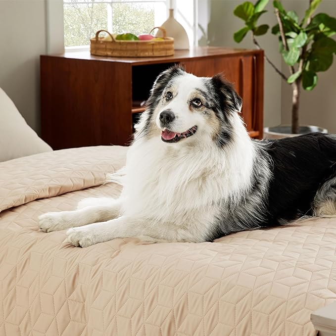 Bedsure 100% Waterproof Bed Cover for Dogs Washable - Non Slip Waterproof Dog Blanket for Bed, Lightweight Furniture Protector Durable for Pet Cat Puppy with Non-Slip Bottom, Beige, 68x82IN