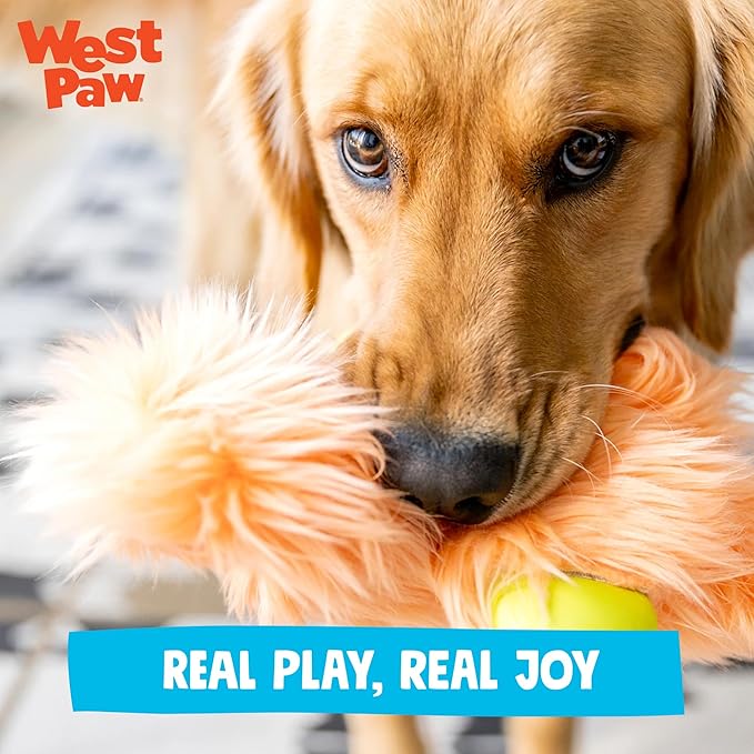 WEST PAW Rowdies Olaf Durable Plush Dog Toy with Reinforced HardyTex Fabric Hand Sewn Seams and Engaging Squeaker for Chewers and Cuddlers - Melon