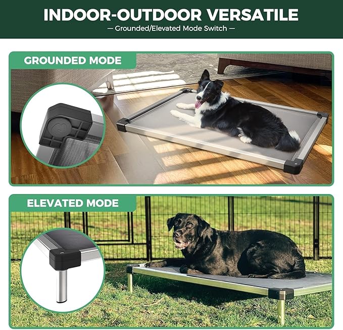 FXW TitanNest Chew-Proof Elevated Dog Bed, Raised Cot for Indoor/Outdoor/Camping Use, Durable & Washable Padded Pet Bed for Toy Dogs, 23.0" L x 17.0" W x 4.5" H, Gray