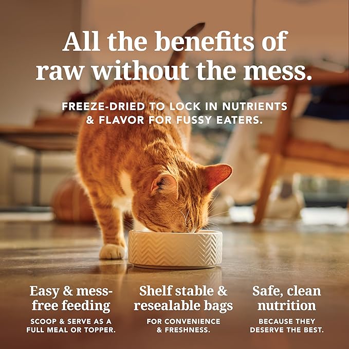 Feline Natural High Protein Dry Cat Food, Freeze-Dried Diet with 98% Meat, Organs & Seafood, No Peas, Grains, or Artificial Additives, Made in New Zealand, Lamb & King Salmon, 3.5oz