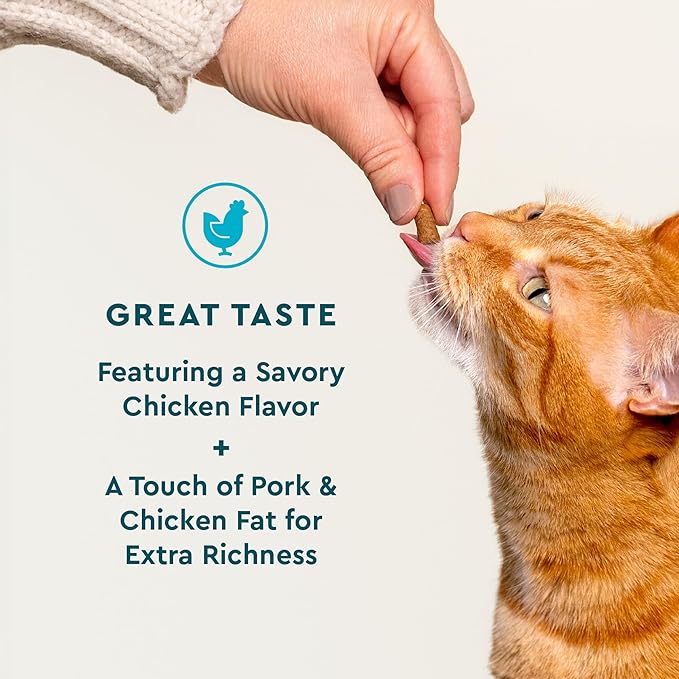 VetIQ Cat Probiotics Supplement – Probiotic, Prebiotic & Postbiotic for Cats, Digestive & Gut Health Support, Constipation & Diarrhea Relief, Chicken Flavored, 3.7 oz