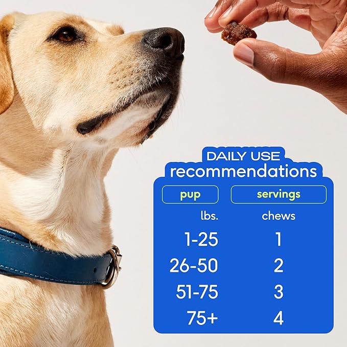Native Pet Omega Skin and Coat Chews for Dogs - Dog Skin and Coat Supplement for Healthy, Shiny Fur, Reduce Shedding and Dry Spots - Made with Omega 3 Fish Oil and Wild-Caught Salmon Oil - 120 Chews