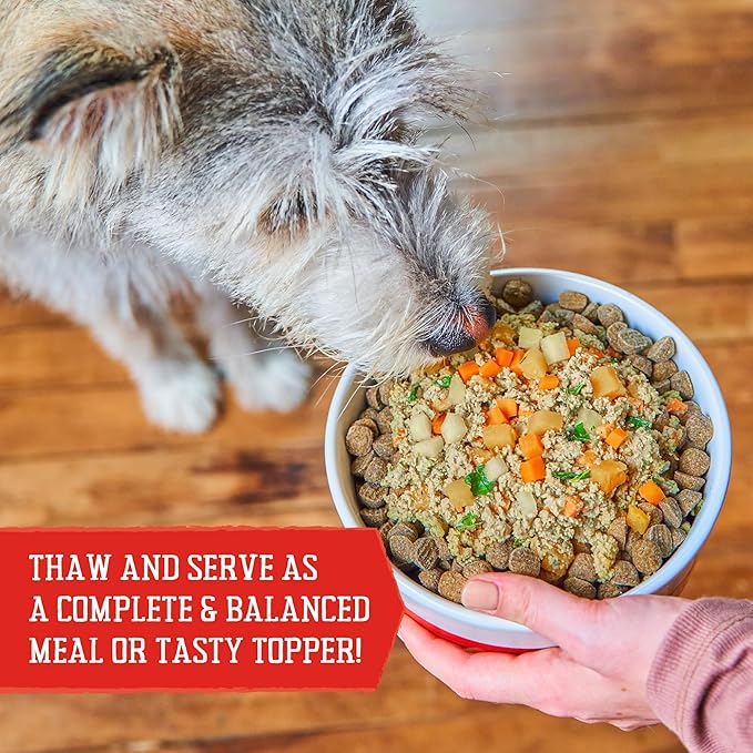 Stella & Chewy's FreshMade Frozen Fresh Grain-Free Gobblin' Good Dog Food, 16-oz Pouch (Pack of 4)