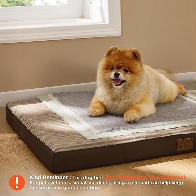Bedsure Dog Bed for Small Dogs - Orthopedic Pet Beds with Removable Machine Washable Cover, NOT Waterproof Egg Crate Foam Puppy Pad, Suitable for Pet Up to 20 lbs, 23"x17"