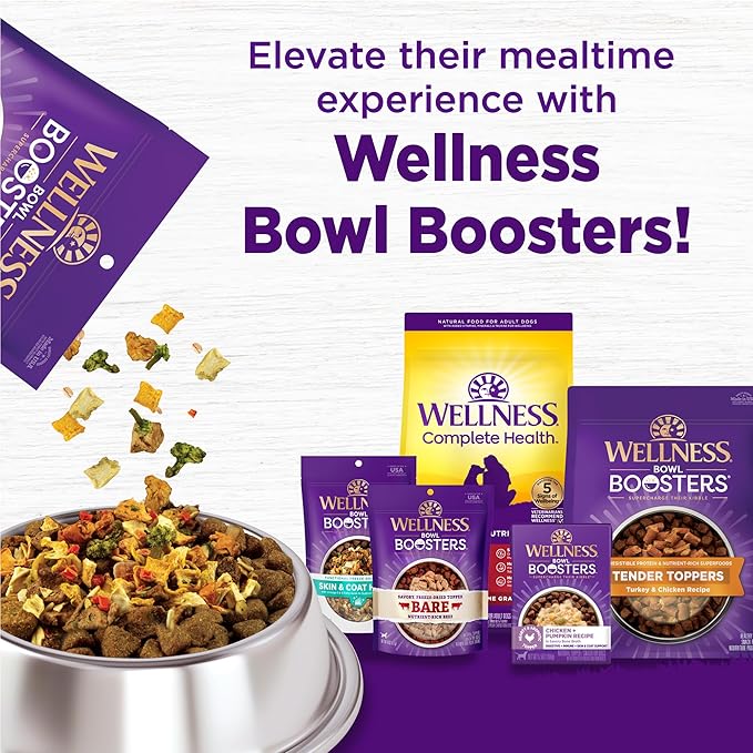 Wellness Natural Pet Food Complete Health Natural Grain Free Dry Dog Food, Chicken, 12-Pound Bag