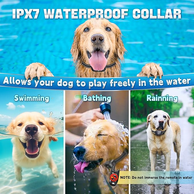 Dog Shock Collar for 2 Dogs - [2025 Newly Upgraded] Dog Training Collar with Remote,Rechargeable E-Collars Waterproof Collars with Unique Shock-Lock Keypad for Large Medium Small Dogs All Breeds
