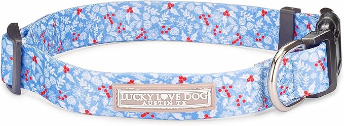 Lucky Love Dog - Adjustable Dog Collar with Easy Click Buckle for Small to Large Ones, Durable, & Comfortable for Male & Female Dogs, Pet Collar for Puppies & Adult Dogs - Winterblue, Small