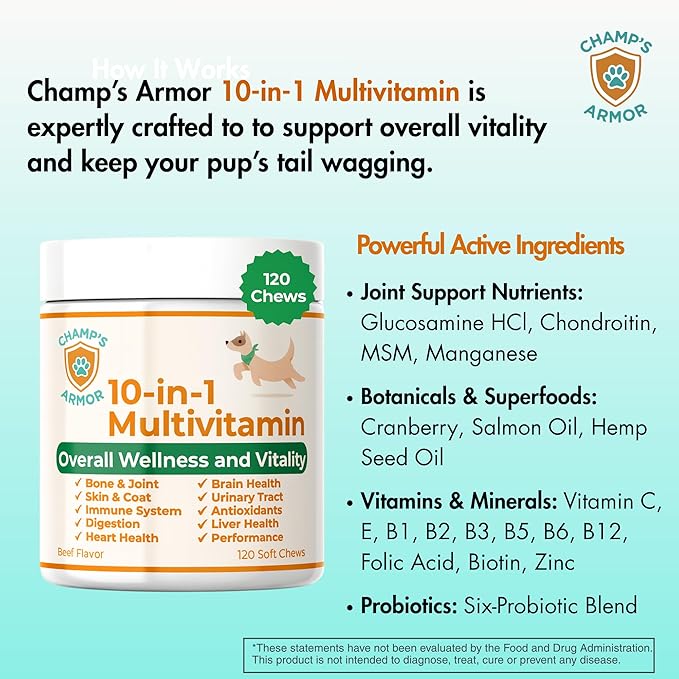 Dog Multivitamin 10-in-1 with Glucosamine - Hip Joint Support, Skin & Coat, Digestive Health, Immune Boost - Salmon Oil, Probiotics, MSM - All Natural Daily Chews for Dogs All Breeds - 120 Count