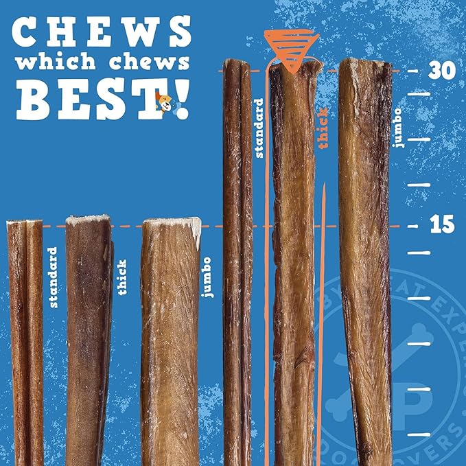 Jack&Pup 12 Inch Bully Sticks for Large Dogs | Thick Odor Free Bully Sticks (3 Pack) Long Lasting Bully Sticks for Dogs