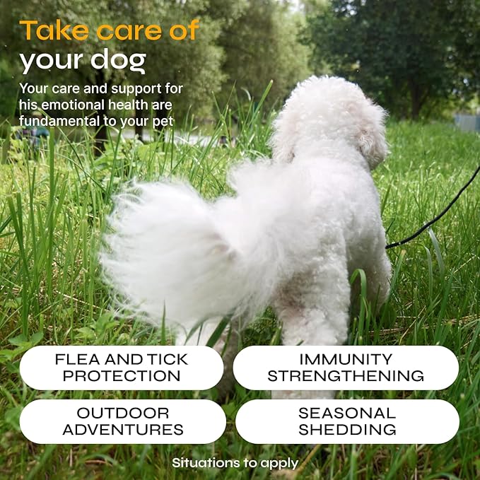Flea and Tick Prevention for Dogs - Dog Flea Treatment Chews - Immune Support Flea and Tick Chewables for Dogs - Dog Flea & Tick Control Supplement - All Breeds & Ages - Vet Formulated - Soft Treats