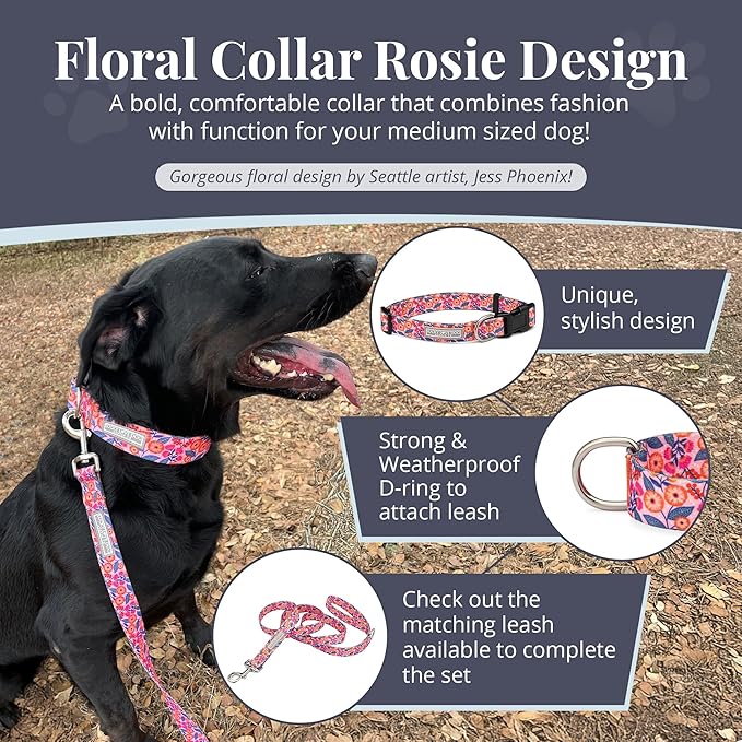 Lucky Love Dog - Adjustable Dog Collar with Easy Click Buckle for Small to Large Ones, Durable, & Comfortable for Male & Female Dogs, Pet Collar for Puppies & Adult Dogs - Rosie, Medium