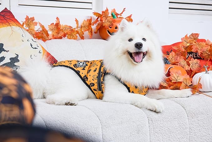 Aiboria Dog Jackets Windproof Outfit Coat Dog Vest Harness Puppy Warm Jacket Halloween Orange S