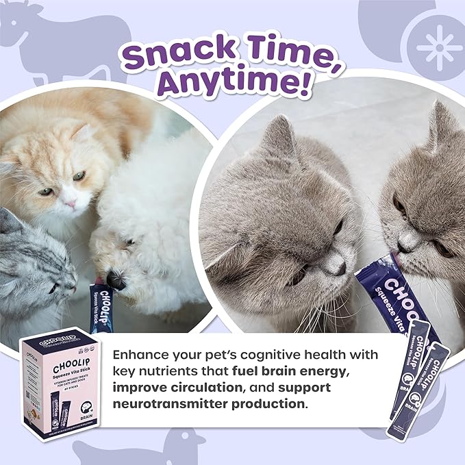 Choolip Squeeze Vita Stick Lickable Cat and Dog Treats – 49-Count Brain Support Sticks with Multivitamins, Soft Squeezable Paste for All Life Stages, Supporting Brain Health - Box with 7 Pouches