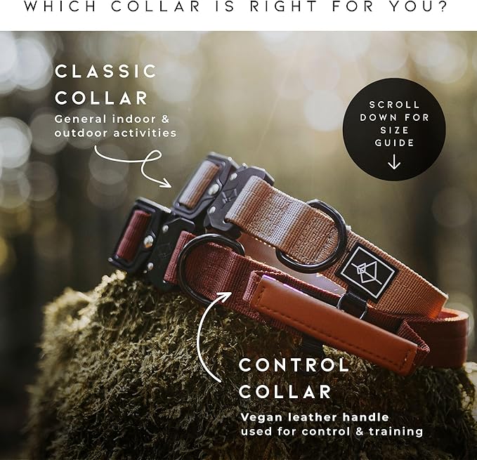 Made to ROAM Premium Dog Collar - Adjustable Heavy Duty Nylon Collar with Quick-Release Metal Buckle (New York Afterlight, Classic Size 5)