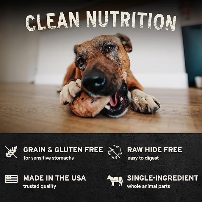 Vital Essentials Freeze-Dried Raw Bar Aggressive Chew Bundle | Duck Head, Pig Snout, Moo Stick | Single Ingredient Dog Treat & Natural Chews | Made in USA | 3 Pack