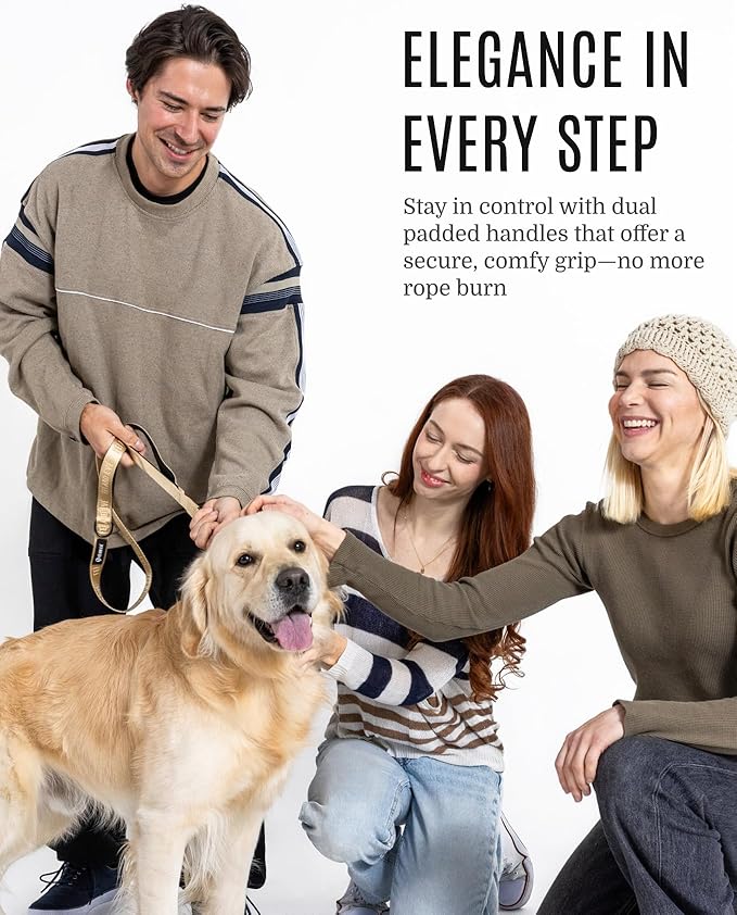 2025 New Edition, Fei & Eve Classic Dog Leash - 4FT, Dual Padded Handles, 360° Swivel Hook, Heavy Duty 210D Nylon - No-Pull Design with Traffic Control Handle - for Small/Medium/Large Dogs, Champagne