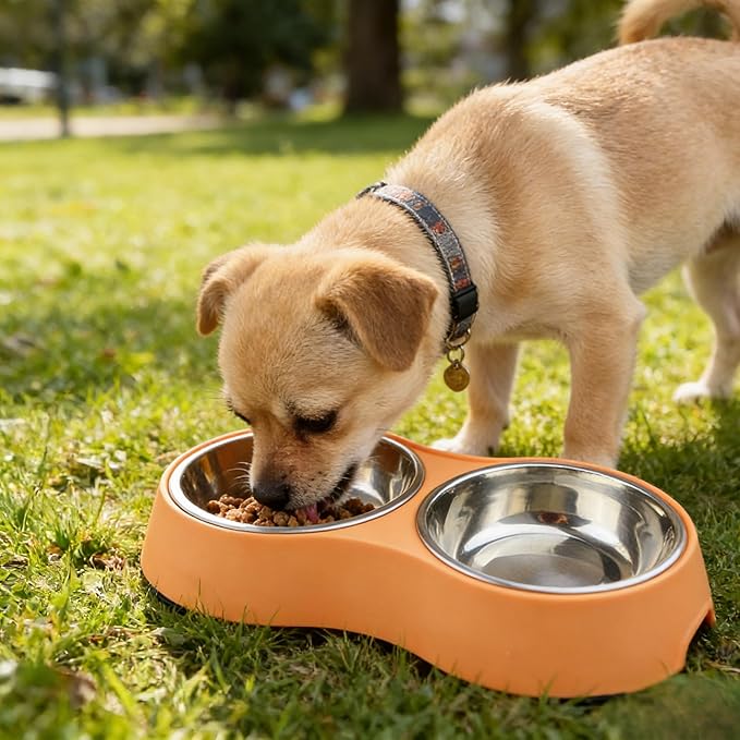 Large Orange Double Pet Bowl – Non-Slip Stainless Steel Food & Water Set for Medium/Large Dogs & Multiple Cats, BPA-Free Mess-Free Feeding Dishes