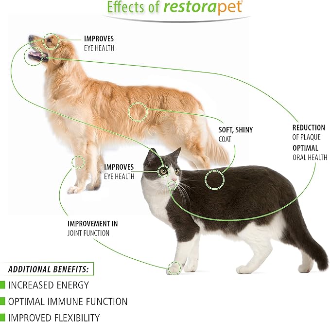 RestoraPet 1-Pack Dog & Cat Unflavored Liquid Multivitamin | Dog Arthritis Pain Relief | Hip&Joint Vitamins for Dogs | Anti Inflammatory Supplement for Dogs & Cats | Organic & Non-GMO, Vet Approved