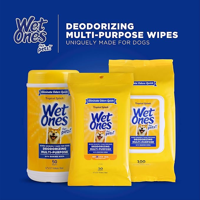Wet Ones for Pets Desmellizing Multi-Purpose Dog Wipes with Baking Soda Dog Desmellizing Wipes for All Dogs in Tropical Splash Scent, Wet Ones Wipes for Desmellizing Dogs (Pack of 12,1200 Count Total)