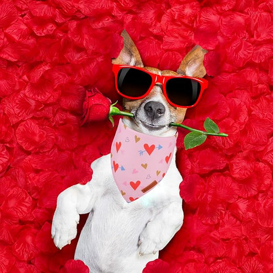 ADOGGYGO Valentine Dog Bandana, Blue Pink Heart Pet Scarf, Premium Durable Fabric, Adjustable Fit Pet Valentine Bandanas for Medium Large Dogs (Large)
