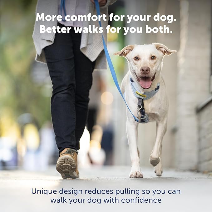 PetSafe Easy Walk Comfort No-Pull Dog Harness - Better Walk Training Harness - Full Body Padded Design - Durable Fabric - 5 Point Adjustable Fit - Everyday Leash Training - Black - Small/Medium