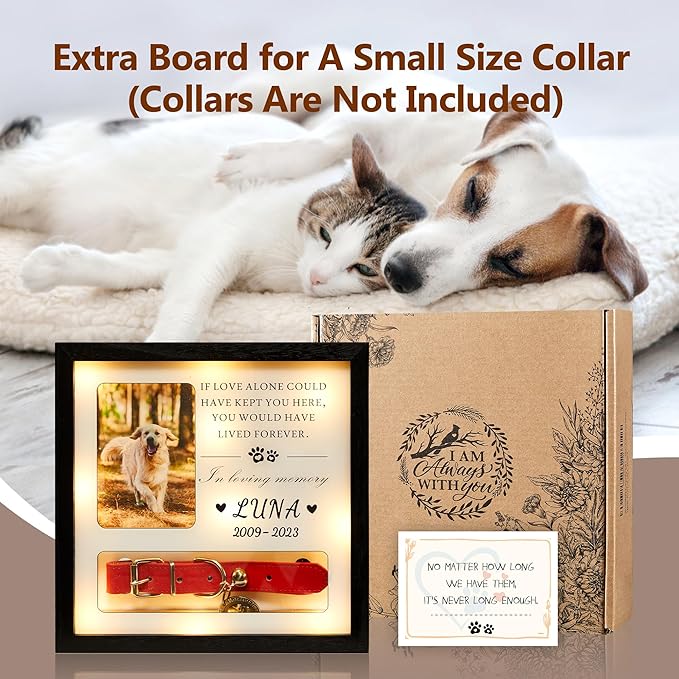 Pet Memorial Picture Frame Dog Collar Shadow Box 10"x10", Sympathy Remembrance Gift Keepsake for Loss of Dog or Cat, for Medium or Small Size Collars