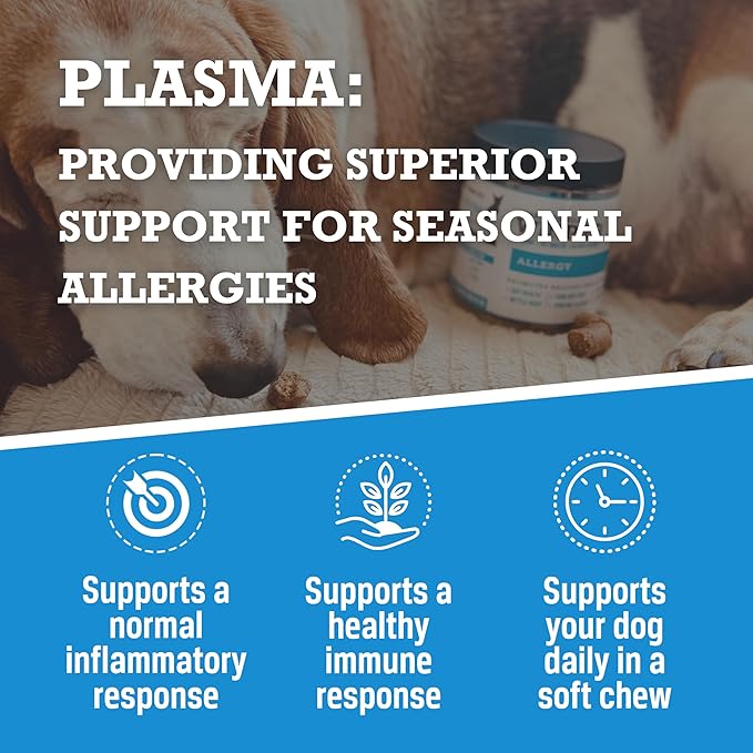 WINPRO Allergy Chews – Plasma-Powered Formula for Dog Seasonal Allergy Support – Grain-Free Natural Blood Protein Supplements – 60 Soft Chews - 2 Pack